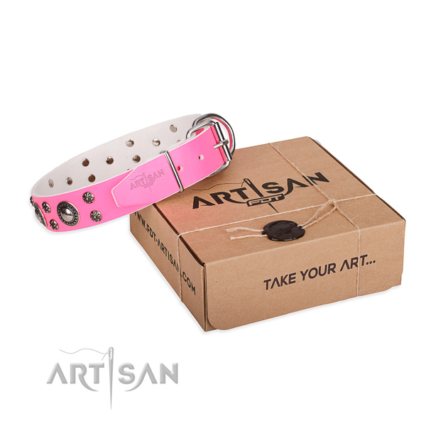 Stylish genuine leather dog collar for walking
