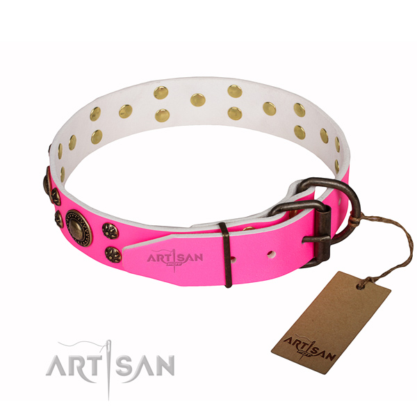 Stunning full grain leather dog collar for walking