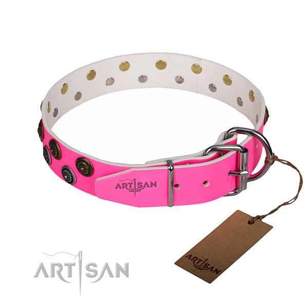 Awesome full grain natural leather dog collar for everyday use