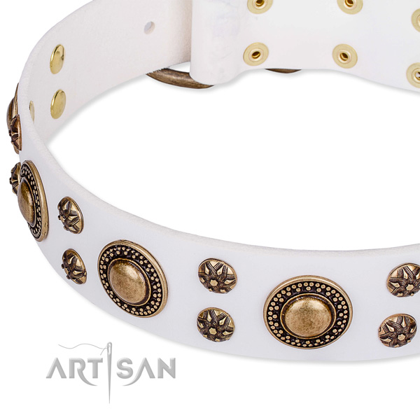 Natural genuine leather dog collar with incredible embellishments