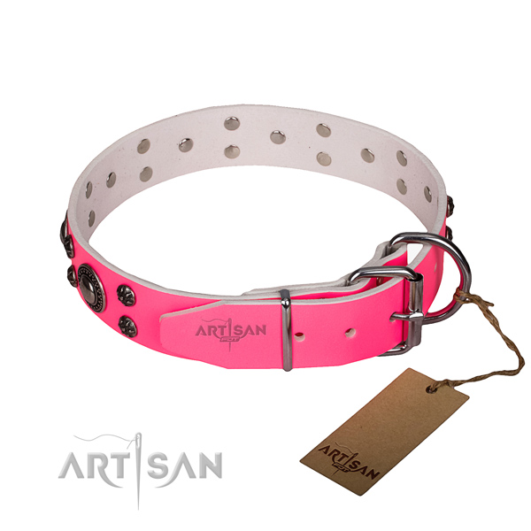 Walking natural genuine leather collar with rust-proof buckle and D-ring