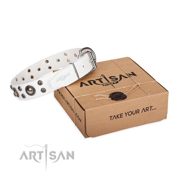 Fine quality full grain leather dog collar for daily walking