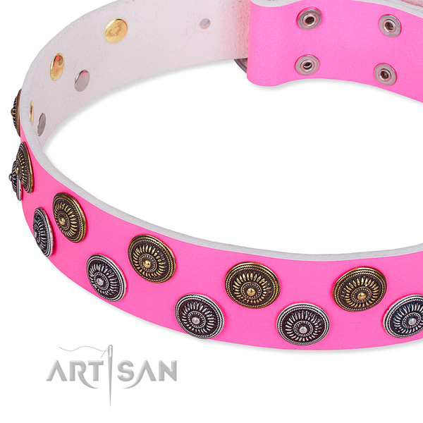 Full grain leather dog collar with unusual adornments