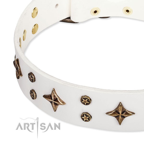 Full grain natural leather dog collar with top notch adornments