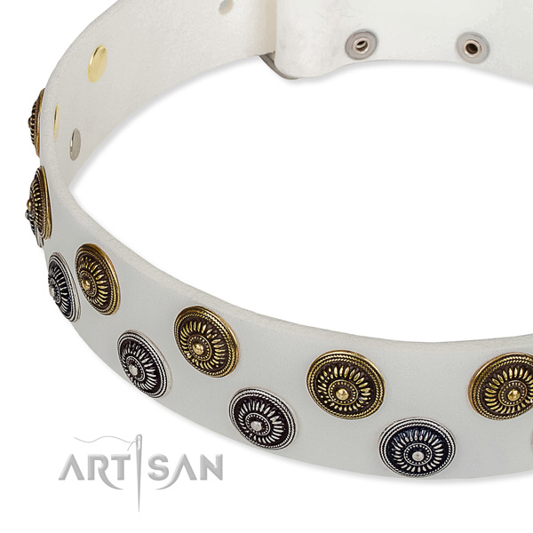 Genuine leather dog collar with stunning embellishments