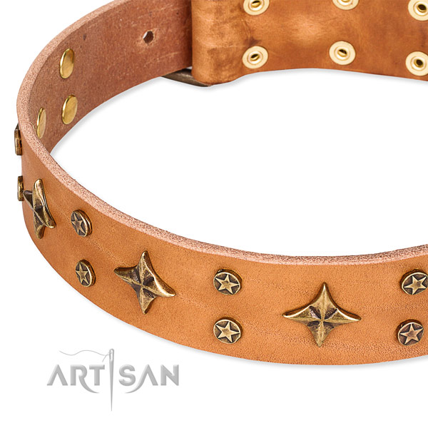 Full grain genuine leather dog collar with exceptional embellishments