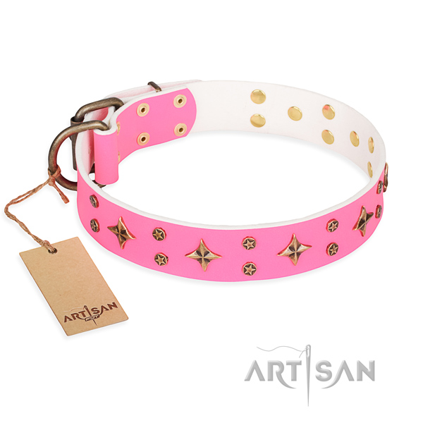 Unique full grain natural leather dog collar for daily walking