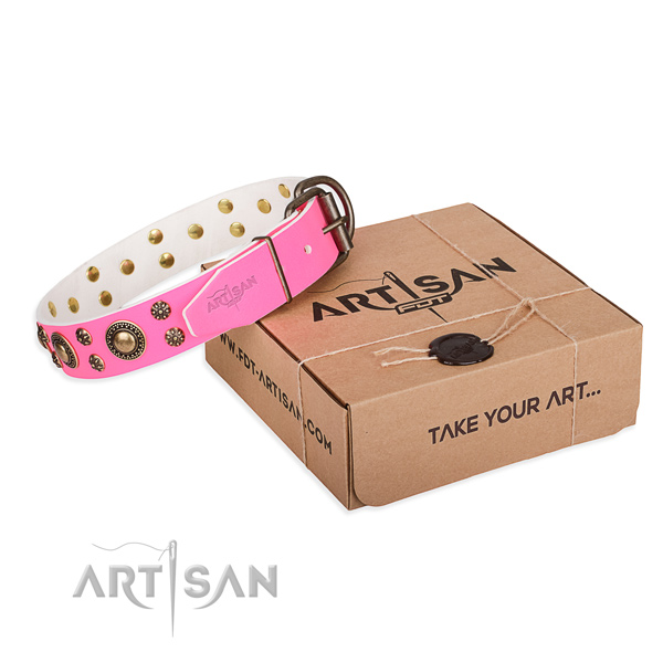 Leather dog collar with studs for handy use