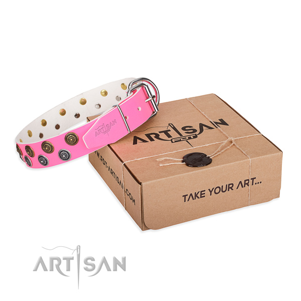 Decorated full grain leather dog collar for daily walking