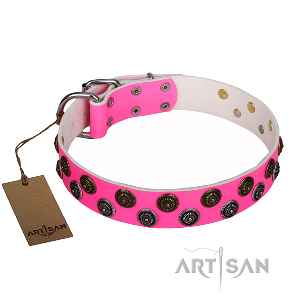Handy use genuine leather collar with studs for your dog