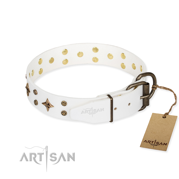 Daily walking full grain leather collar with adornments for your four-legged friend