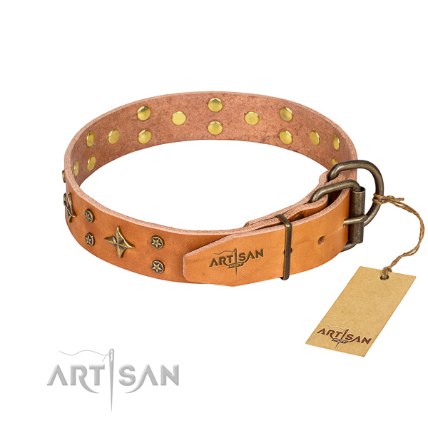 Daily use full grain natural leather collar with embellishments for your doggie