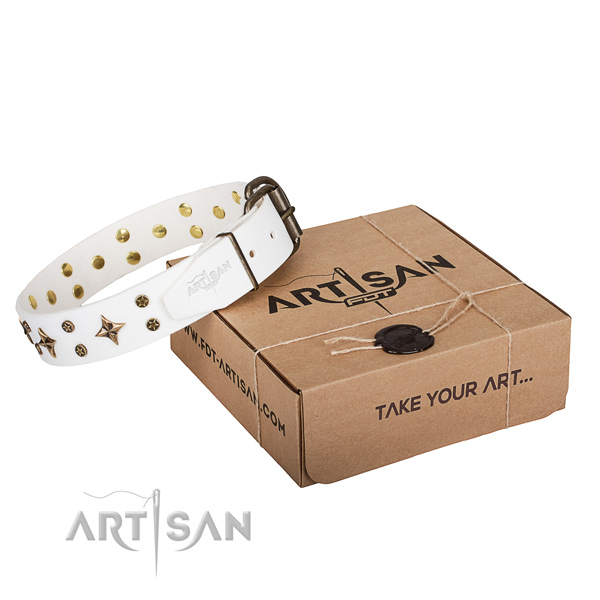 Embellished full grain natural leather dog collar for comfortable wearing