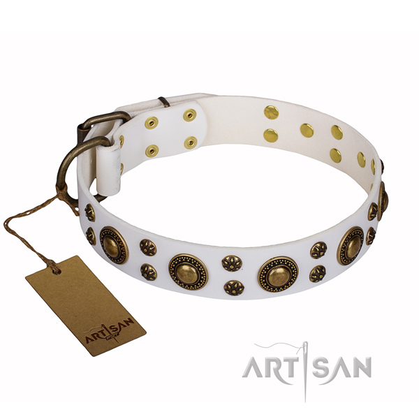 Everyday walking natural genuine leather collar with embellishments for your four-legged friend