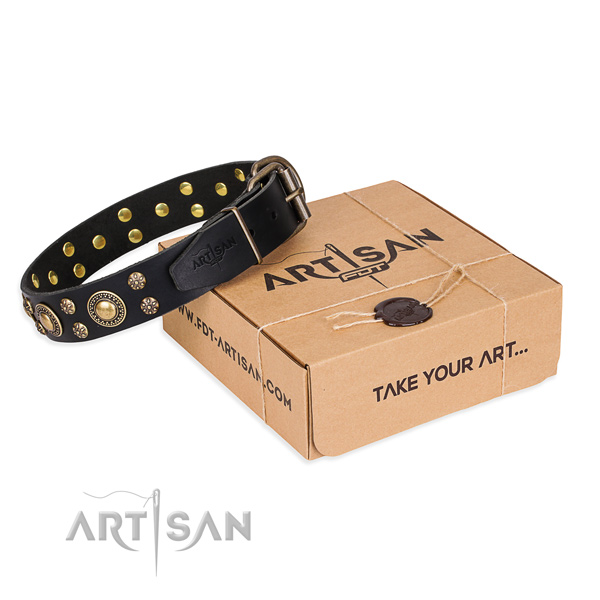 Trendy natural genuine leather dog collar for walking in style