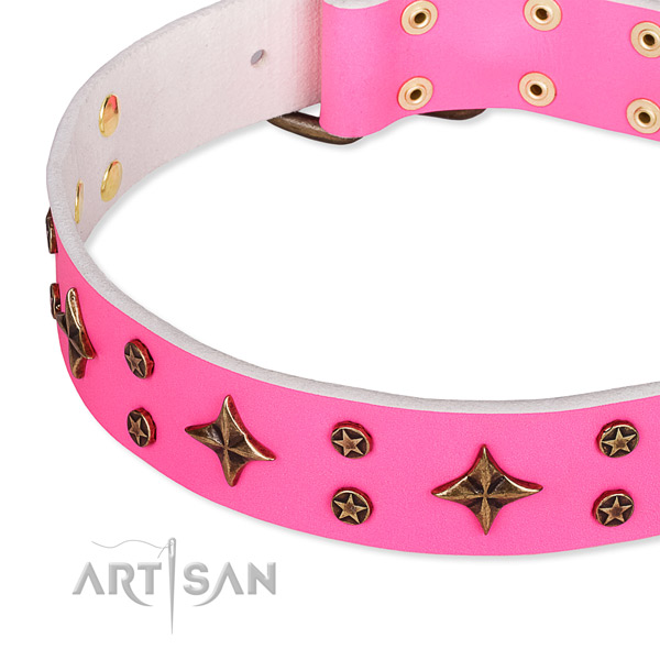 Full grain natural leather dog collar with significant studs