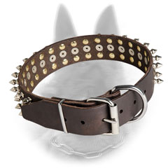 Reliable Belgian Malinois Collar of High-End Material 