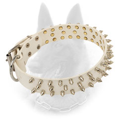 Amazing Belgian Malinois Collar with Reliable Fittings