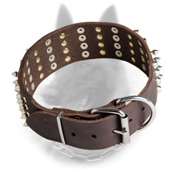 Bold Belgian Malinois Collar with Stylish Decoration