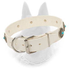 Durable Belgian Malinois Collar of Leather with Nickel Hardware