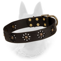 Flower Decorated Belgian Malinois Collar of Leather