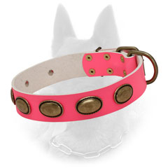 Trendy Belgian Malinois Collar of Leather with Adjustable Hardware