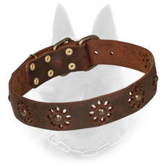 Leather Belgian Malinois Collar with Brass Fitting