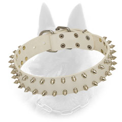 Adjustable Belgian Malinois Collar with Reliable Hardware