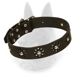 Belgian Malinois Leather Collar with Unique Design