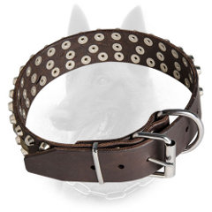 Trendy Belgian Malinois Collar of Leather with Brass Fittings