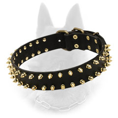 Spiky Belgian Malinois Collar Unusual Design