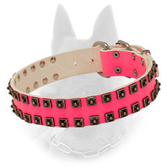Bright Belgian Malinois Collar of Leather Extravagant Offer