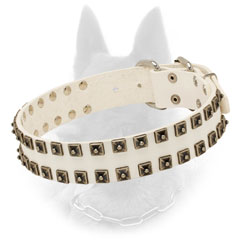 Unique Belgian Malinois Collar of Leather with Fashionable Design