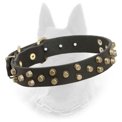 Soft Leather Belgian Malinois Collar with Gold Color Pyramids