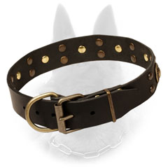 Fantastic Leather Belgian Malinois Collar With Nickel Plated Studs