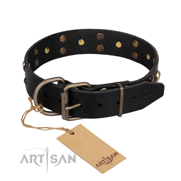 Day-to-day leather dog collar with astounding embellishments
