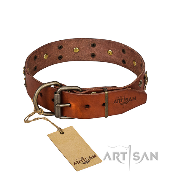 Hardwearing leather dog collar with non-rusting details