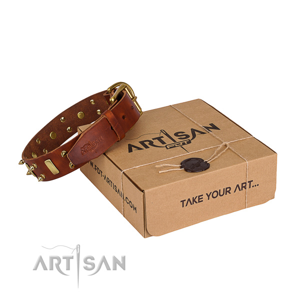 Everyday leather dog collar with luxurious embellishments