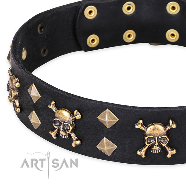 Casual leather dog collar with incredible adornments