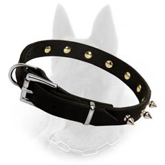 Up-to-date B.Malinois Collar With Steel Nickel Plated Hardware