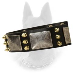 Massive Old Nickel Plates and Brass Spikes on Belgian Malinois Leather Dog Collar