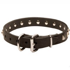 Reliable Belgian Malinois Leather Collar with Reliable Nickel Buckle