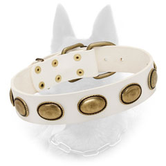 White Leather Belgian Malinois Collar Elegant Style
