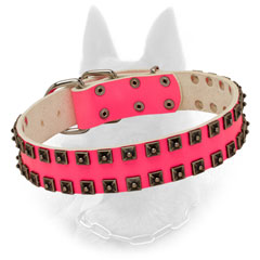Glaudy Belgian Malinois Collar Durable Fittings