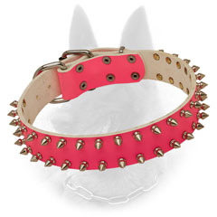 Bright Belgian Malinois Collar in Pink Color