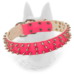 Amazing Belgian Malinois Collar New Offer