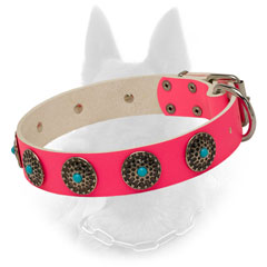 Extravagant Belgian Malinois Leather Collar with Blue Stones Design