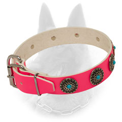 Reliable Belgian Malinois Leather Collar with Nickel Fitting