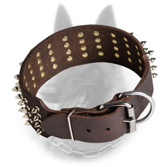 Reliable Belgian Malinois Collar with Strong Fitting
