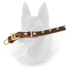 Riveted Brass Hardware on Belgian Malinois Leather Dog Collar Decorated with Spikes